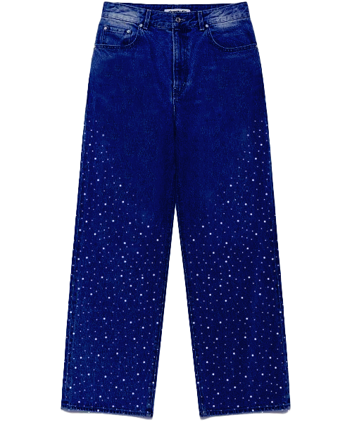 Crystal Baggy Jeans